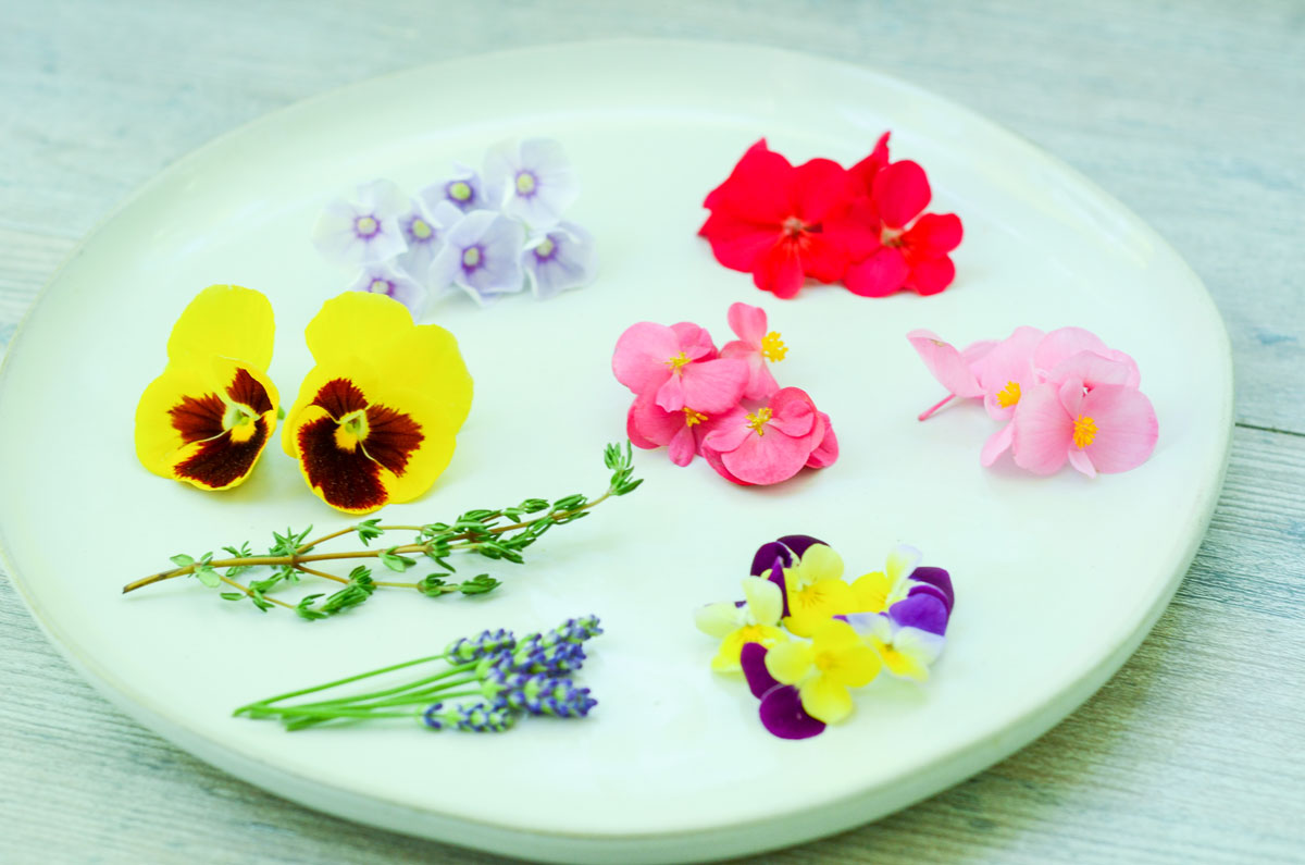 Floral Cookies to Celebrate the Summer Solstice (+Video!) | Herbal Academy | There are many ways to celebrate the summer solstice, including lighting a candle, spending time outdoors, and baking homemade floral cookies.