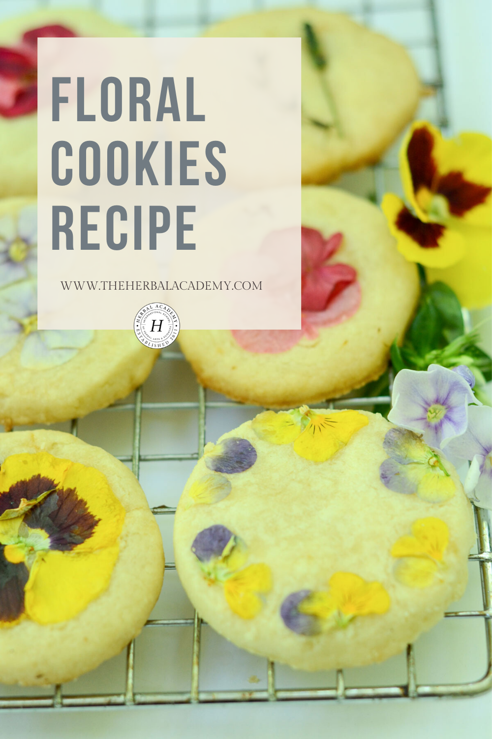 Floral Cookies to Celebrate the Summer Solstice (+Video!) | Herbal Academy | There are many ways to celebrate the summer solstice, including lighting a candle, spending time outdoors, and baking homemade floral cookies.