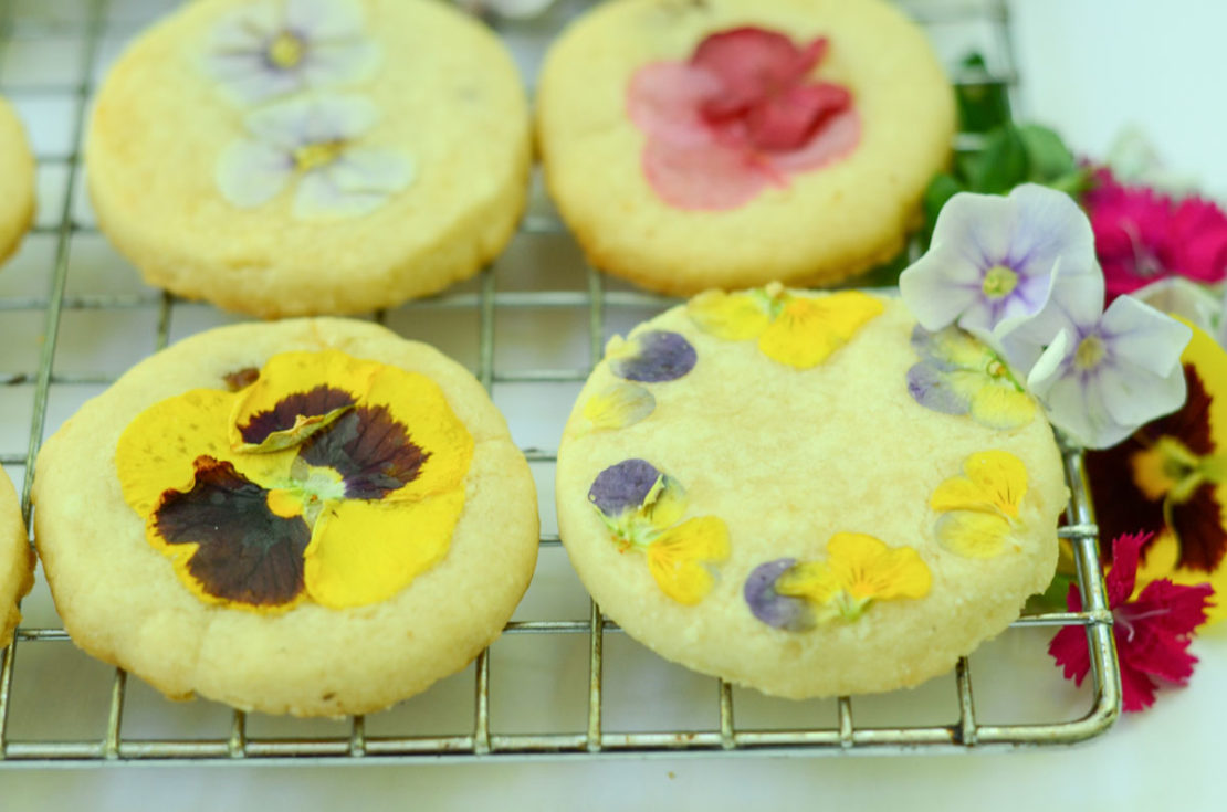 Floral Cookies to Celebrate the Summer Solstice (+Video!) | Herbal Academy | There are many ways to celebrate the summer solstice, including lighting a candle, spending time outdoors, and baking homemade floral cookies.