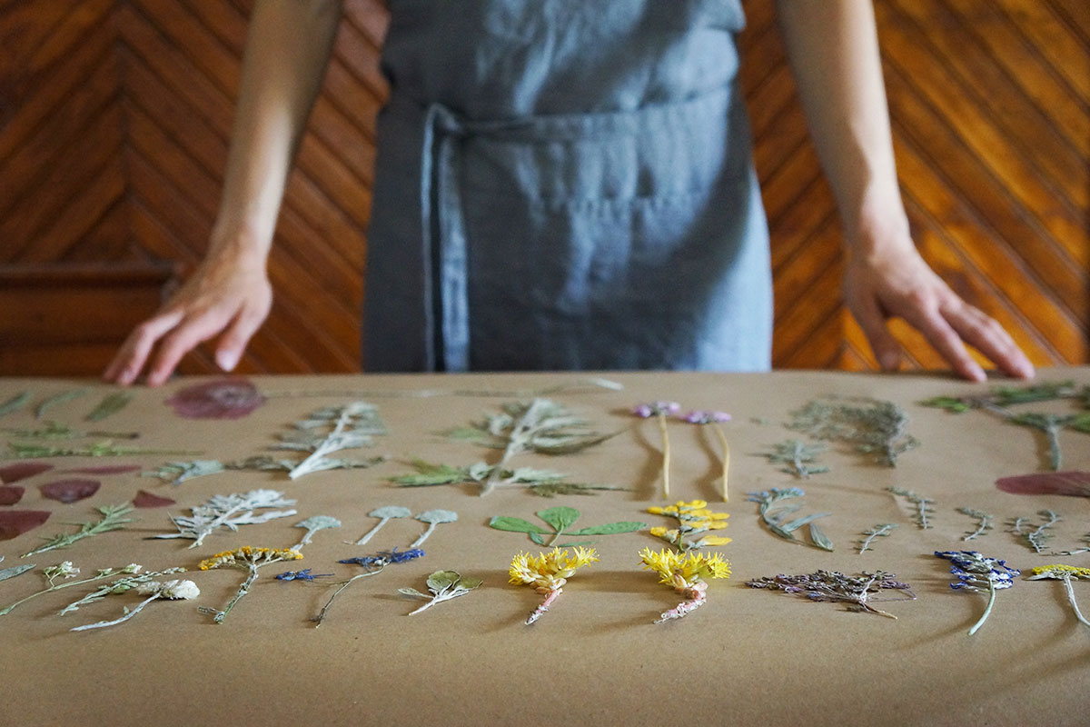 Floral Cookies to Celebrate the Summer Solstice (+Video!) | Herbal Academy | There are many ways to celebrate the summer solstice, including lighting a candle, spending time outdoors, and baking homemade floral cookies.