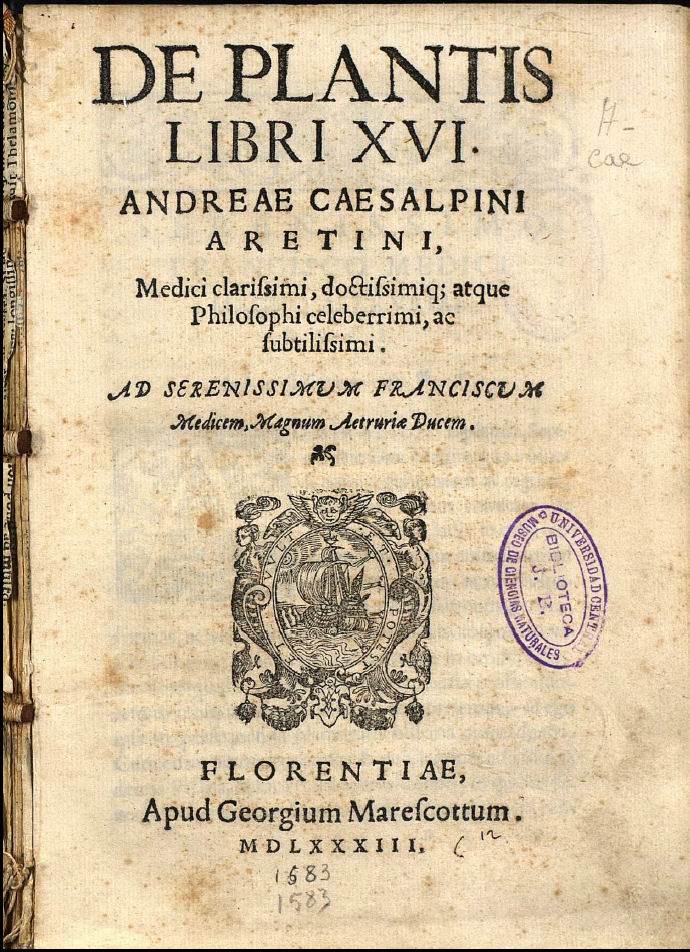 Botany Beginnings: Who was Theophrastus? | Herbal Academy | Theophrastus is known as the “father of botany” because his descriptive writings helped create a new frontier in scientific botanical terminology.