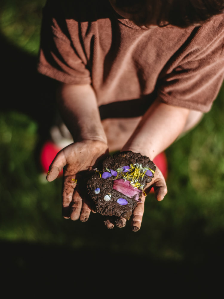 Online Nature Kids Camp Herbalism for Kids by the Herbal Academy plant discover