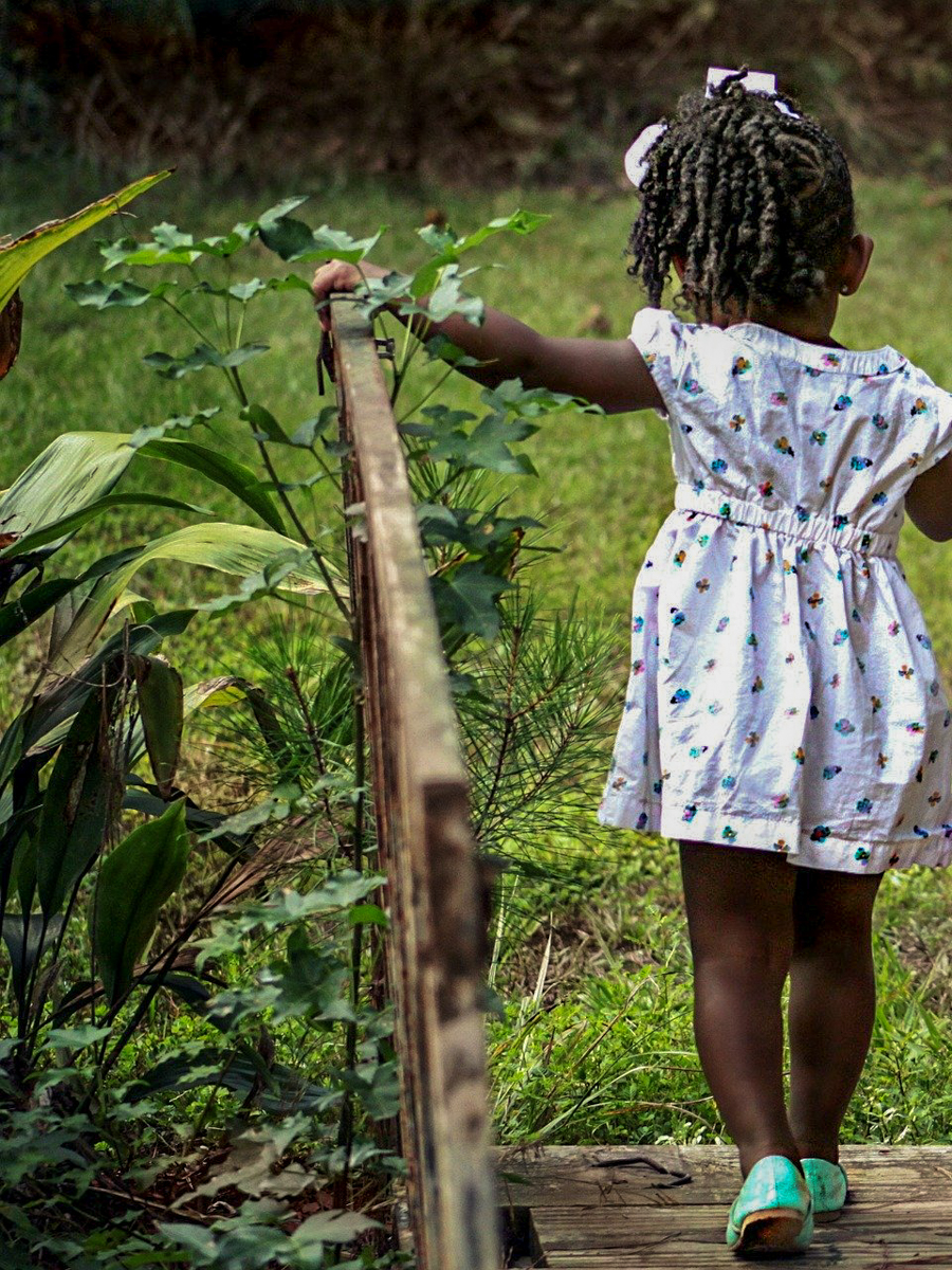 Online Nature Camp Herbalism For Kids Lessons