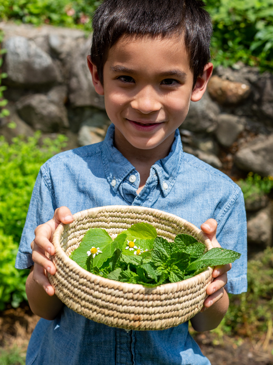 Online Nature Kids Camp Herbalism for Kids by the Herbal Academy plant discover