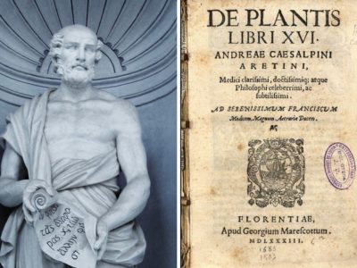 Botany Beginnings: Who was Theophrastus? | Herbal Academy | Theophrastus is known as the “father of botany” because his descriptive writings helped create a new frontier in scientific botanical terminology.