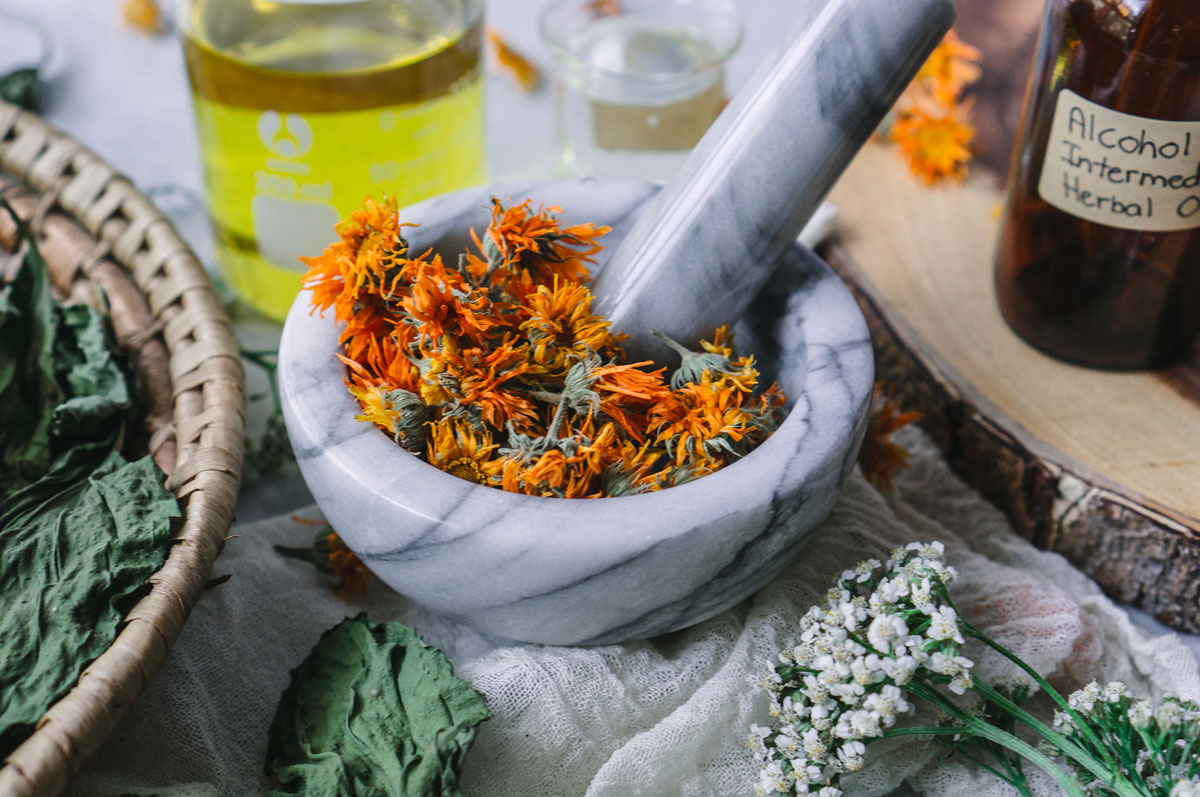 How to Make Alcohol Intermediary Herb-Infused Oils | Herbal Academy | With alcohol intermediary herb-infused oils you can save time, increase the shelf life of your oils, and create a stronger finished oil. 