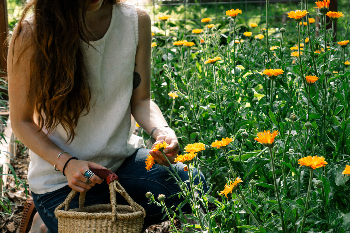 7 Best Plants for a Beginner's Herb Garden | Herbal Academy | In this article, we share seven easy-to-grow and useful herbs for a beginner’s herb garden, along with tips for using and growing each one. 