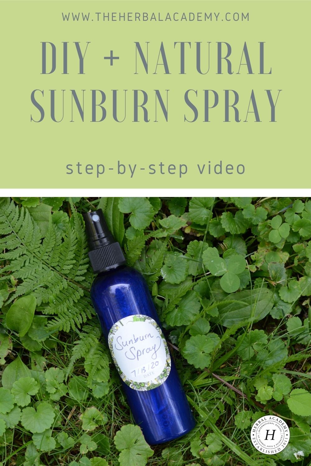 Sunburn Relief Spray Recipe Bundle - Wyndmere Naturals