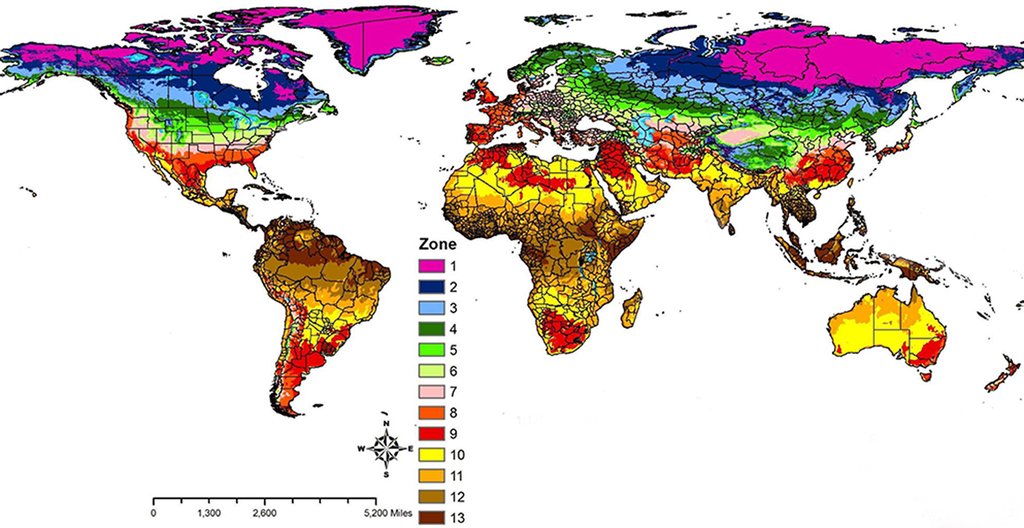 World Plant Hardiness Zone Map