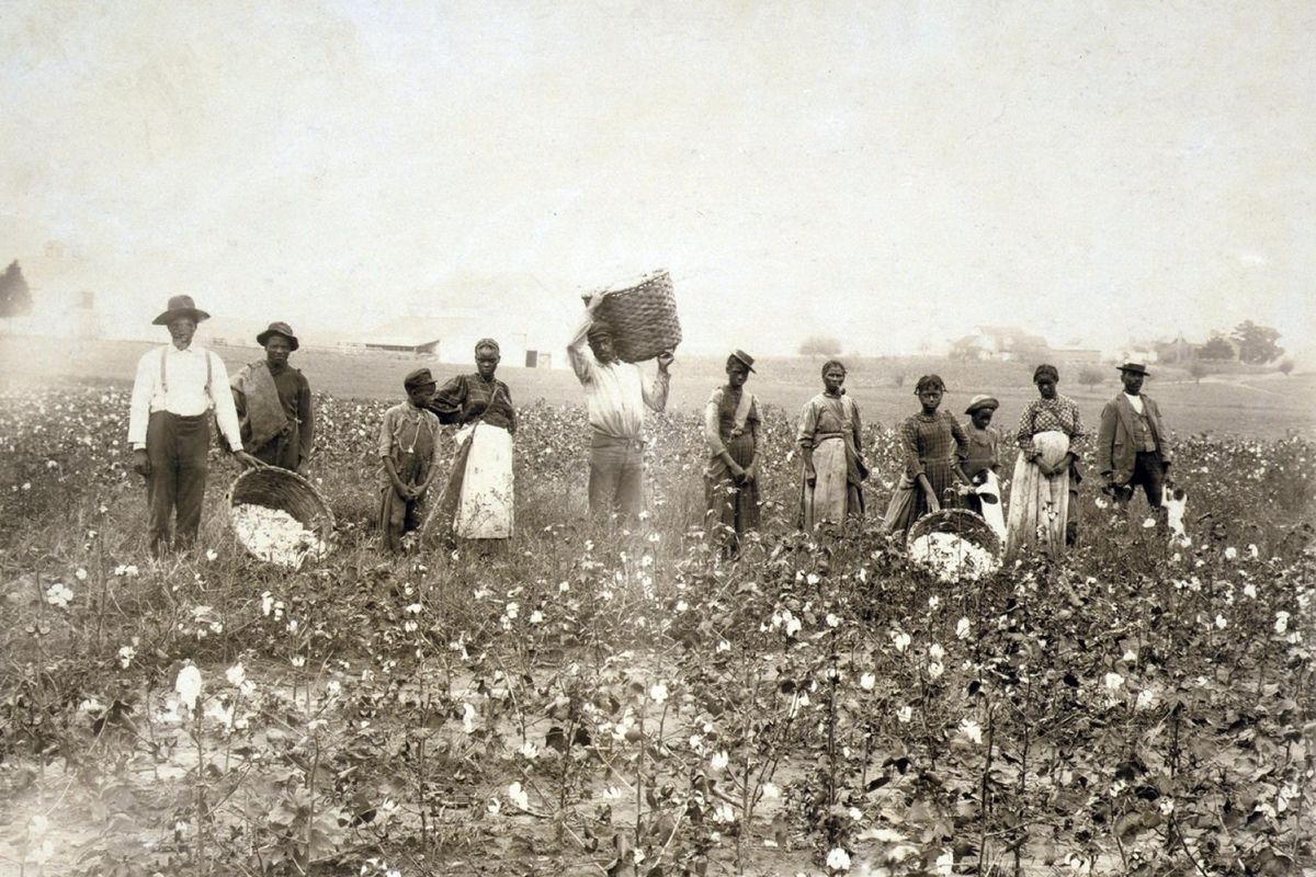 Roots of African American Herbalism: Herbal Use by Enslaved Africans in America | Herbal Academy | African American herbalism is a rich melange of many cultural traditions with deep origins rooted in African history dating back to ancient Egypt.