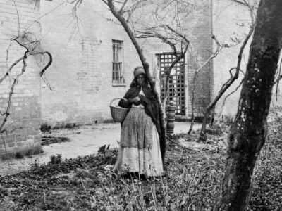 Roots of African American Herbalism: Herbal Use by Enslaved Africans in America | Herbal Academy | African American herbalism is a rich melange of many cultural traditions with deep origins rooted in African history dating back to ancient Egypt.