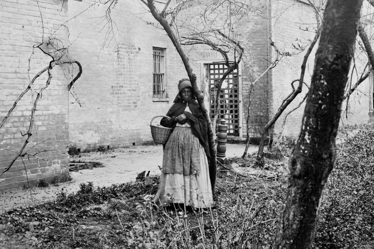 Roots of African American Herbalism: Herbal Use by Enslaved Africans