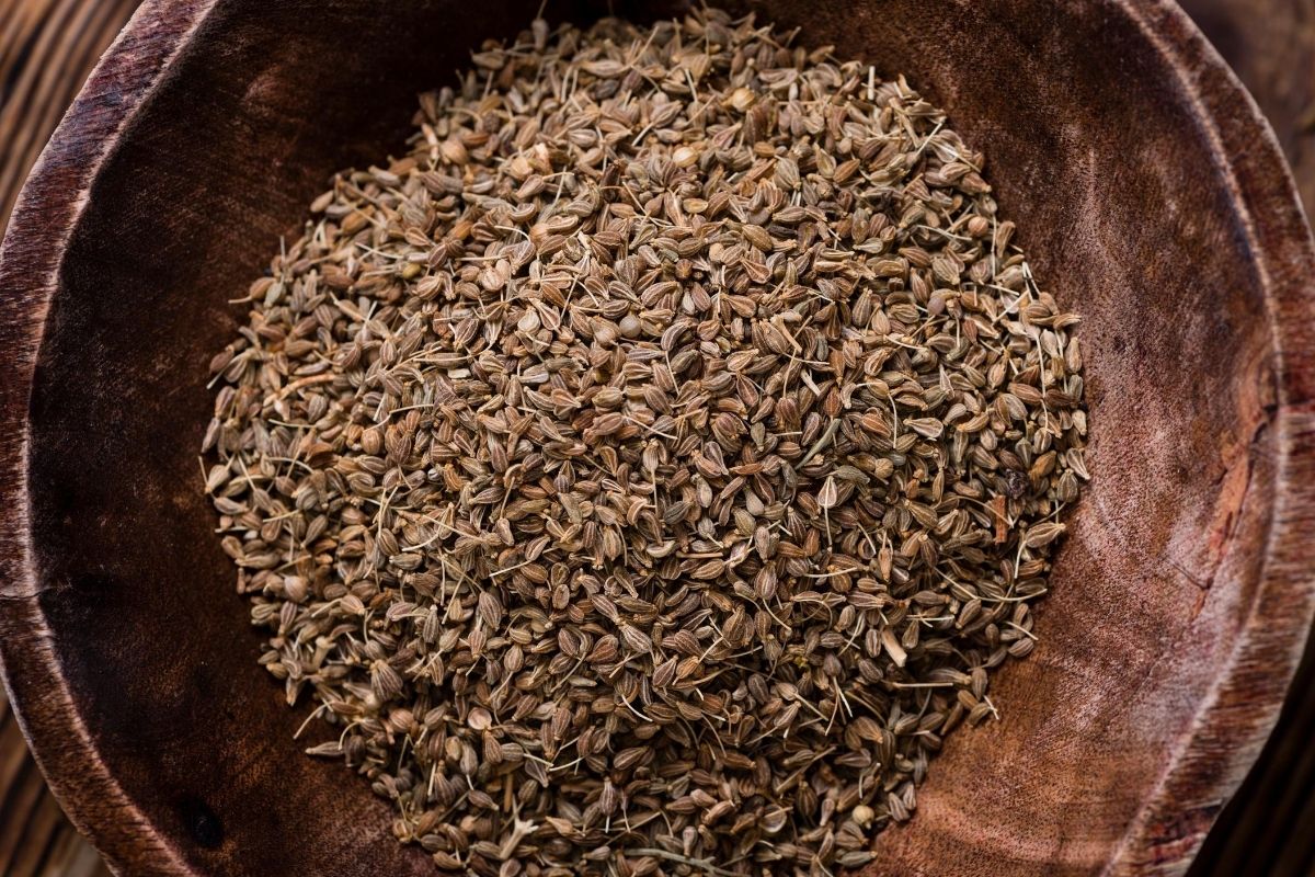 a bowl of anise seeds