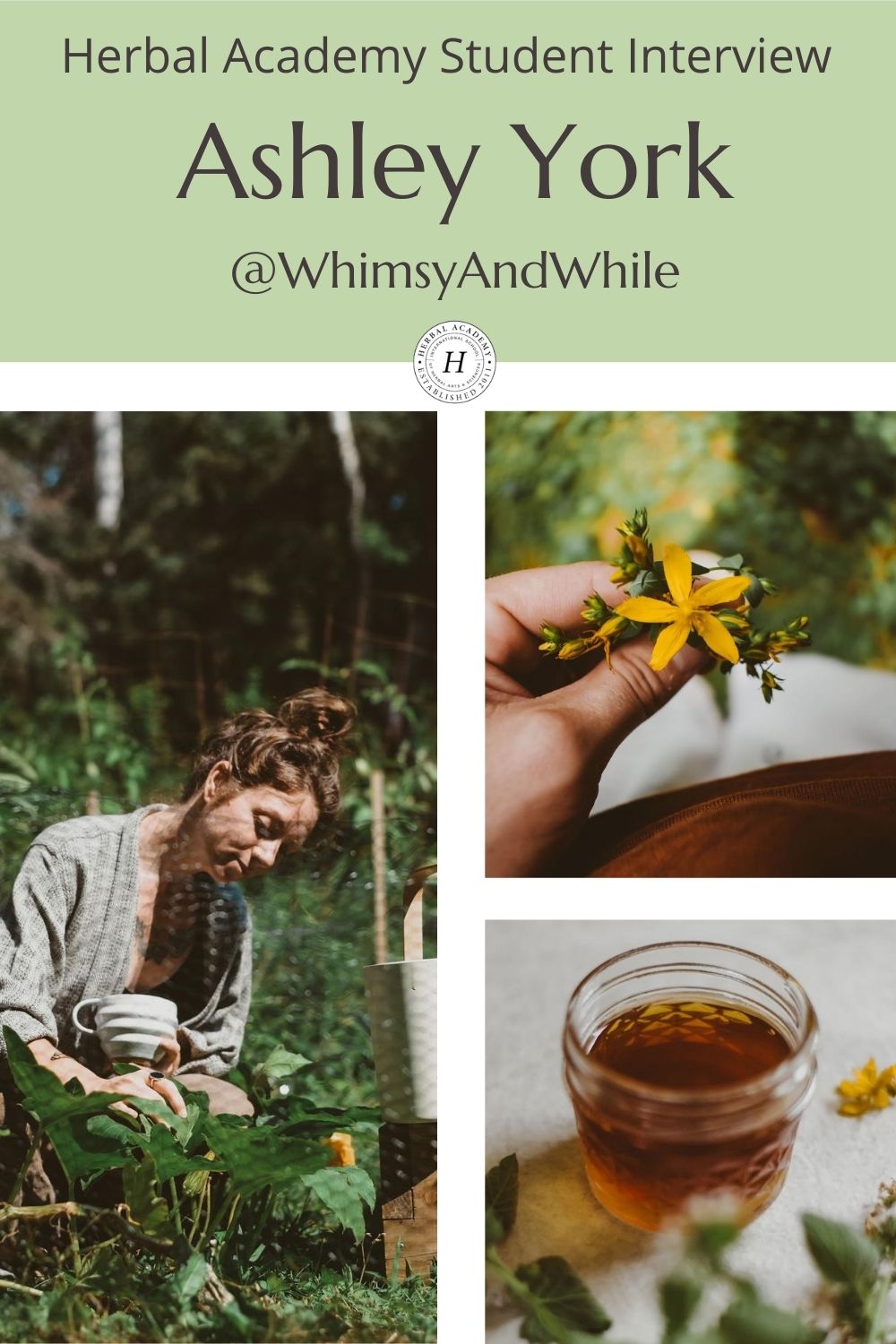 HA Student Feature: Ashley York (@whimsyandwhile) | Herbal Academy | In the second installment of our Student Feature Series, we chatted with Ashley York (@whimsyandwhile) about her herbalism journey. 