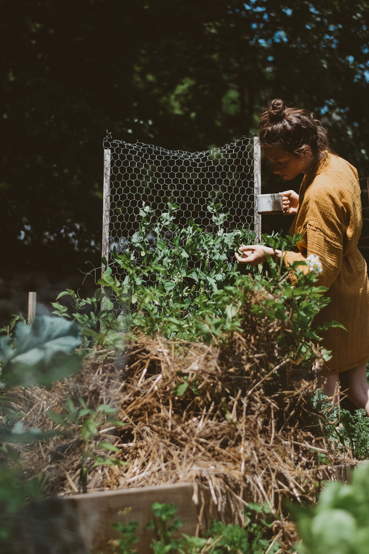 HA Student Feature: Ashley York (@whimsyandwhile) | Herbal Academy | In the second installment of our Student Feature Series, we chatted with Ashley York (@whimsyandwhile) about her herbalism journey. 