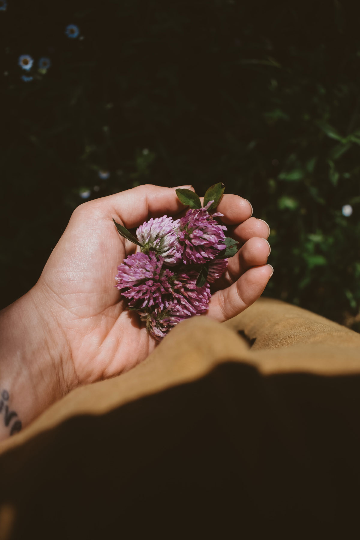HA Student Feature: Ashley York (@whimsyandwhile) | Herbal Academy | In the second installment of our Student Feature Series, we chatted with Ashley York (@whimsyandwhile) about her herbalism journey. 