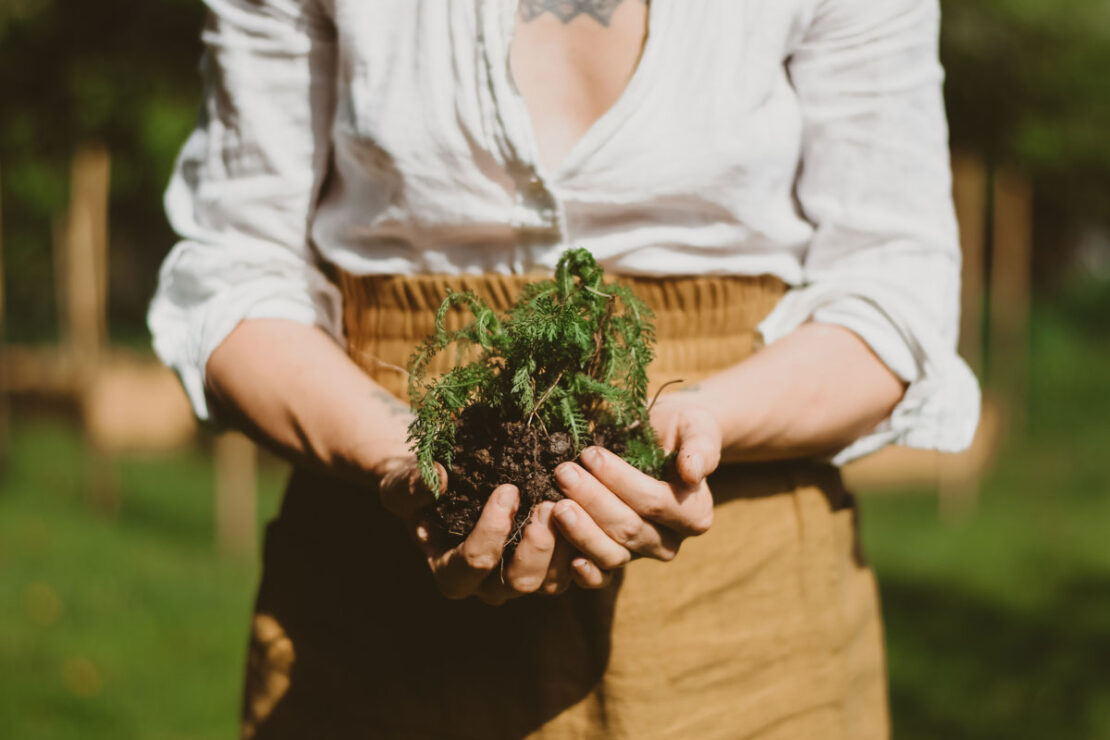 HA Student Feature: Ashley York (@whimsyandwhile) | Herbal Academy | In the second installment of our Student Feature Series, we chatted with Ashley York (@whimsyandwhile) about her herbalism journey.