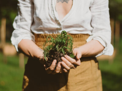 HA Student Feature: Ashley York (@whimsyandwhile) | Herbal Academy | In the second installment of our Student Feature Series, we chatted with Ashley York (@whimsyandwhile) about her herbalism journey.