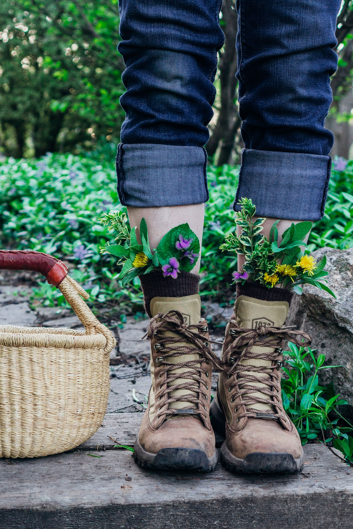 A Foraged Feast: Nutritional Value of Edible Wild Food | Herbal Academy | Learn about the nutritional density of edible wild food varieties, like dandelion, compared to their cultivated counterparts.