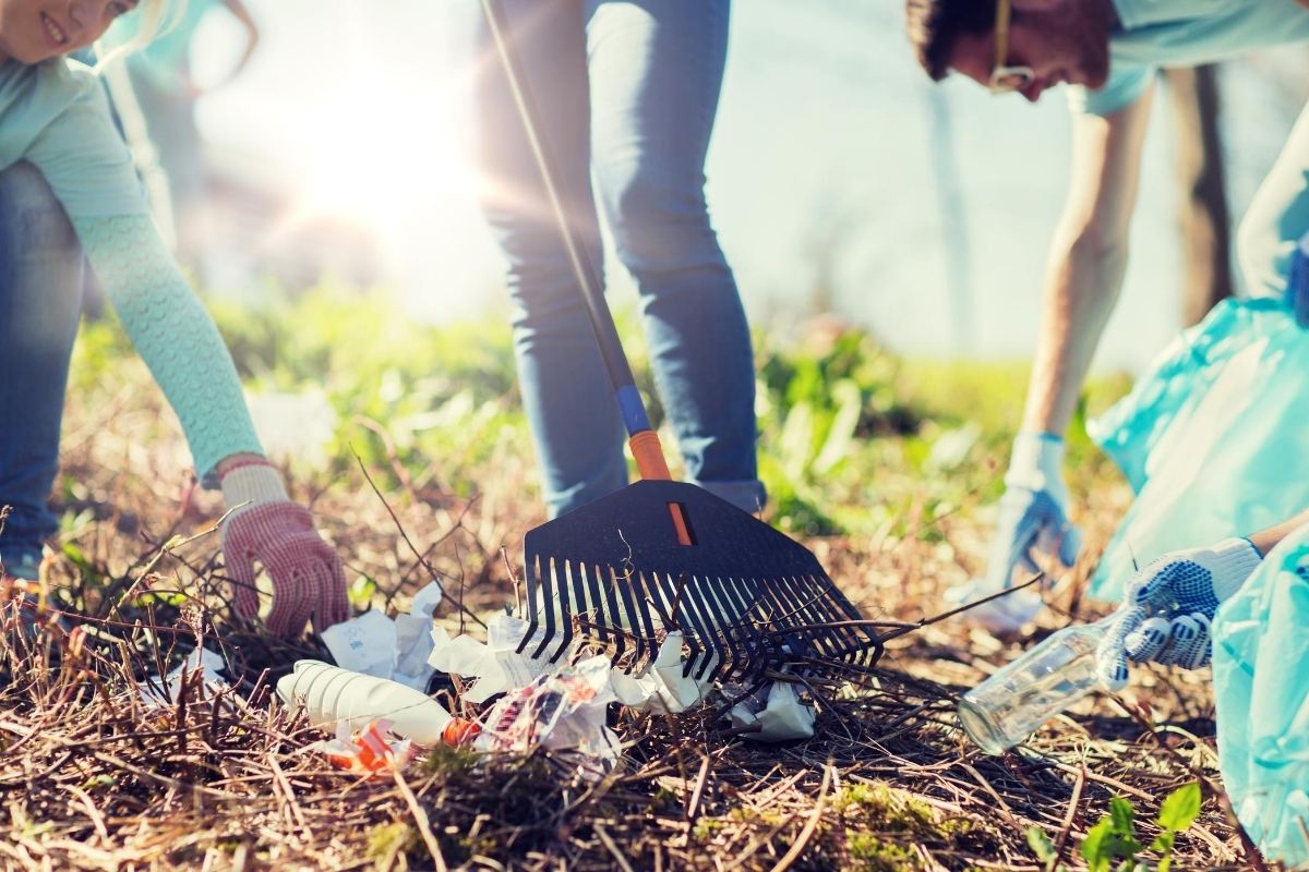 Practices and Herbs for Happiness | Herbal Academy | This article explores practices and herbs for happiness, elucidating practical ways in which you can take steps toward greater wellbeing. 