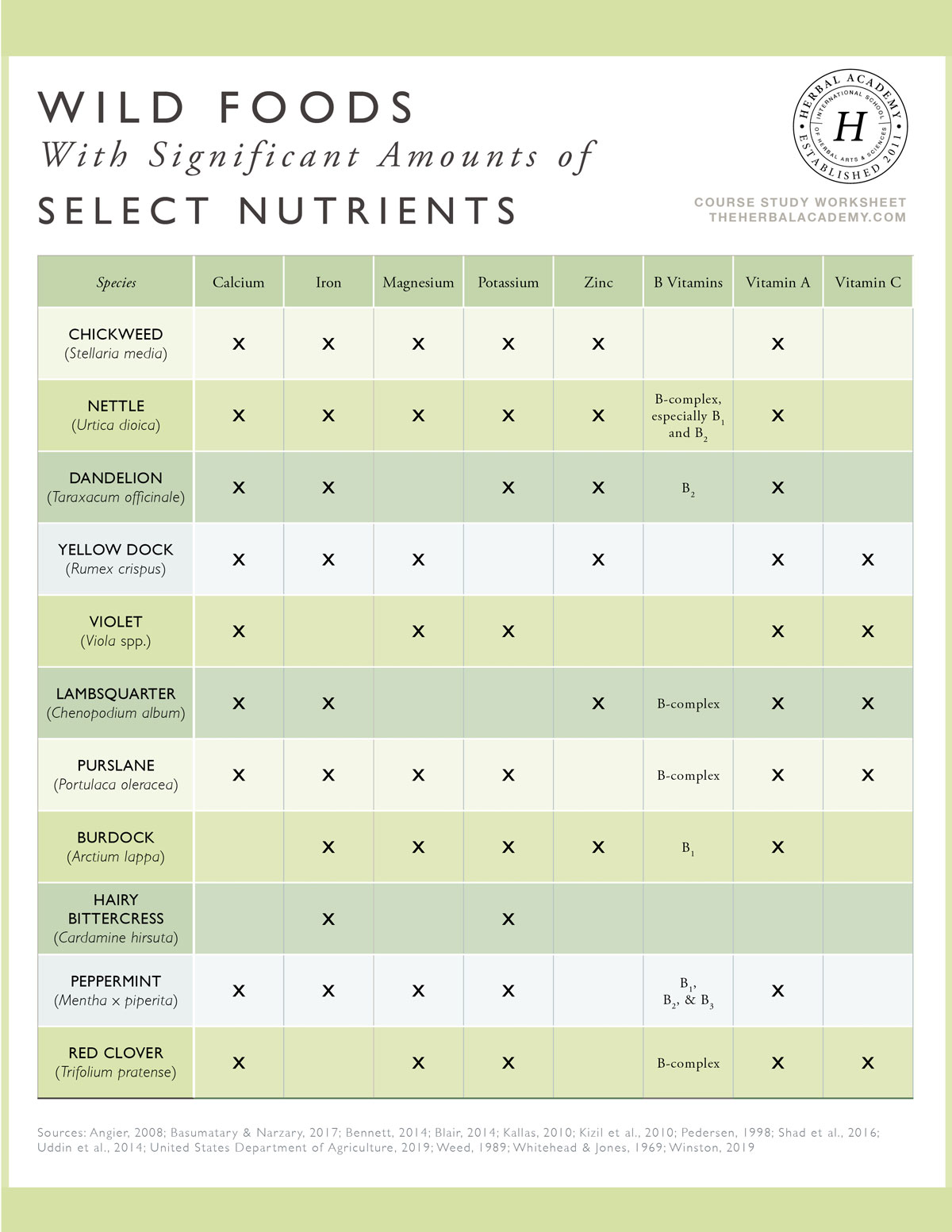 A Foraged Feast: Nutritional Value of Edible Wild Food | Herbal Academy | Learn about the nutritional density of edible wild food varieties, like dandelion, compared to their cultivated counterparts.