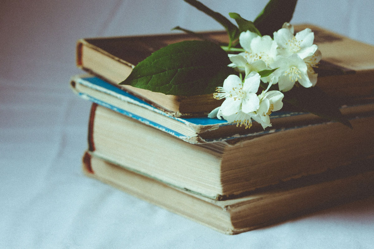 As a Black Herbalist, These are my 3 Favorite Herbalism Books | Herbal Academy | Herbalist and blogger Kendra Payne shares and summarizes her three favorite herbalism books written by black authors.