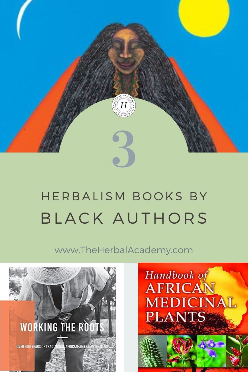 As a Black Herbalist, These are my 3 Favorite Herbalism Books | Herbal Academy | Herbalist and blogger Kendra Payne shares and summarizes her three favorite herbalism books written by black authors.