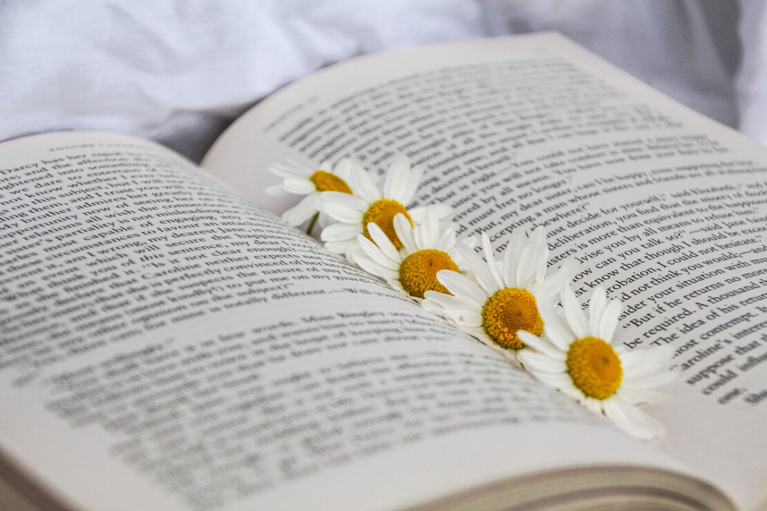 As a Black Herbalist, These are my 3 Favorite Herbalism Books | Herbal Academy | Herbalist and blogger Kendra Payne shares and summarizes her three favorite herbalism books written by black authors.