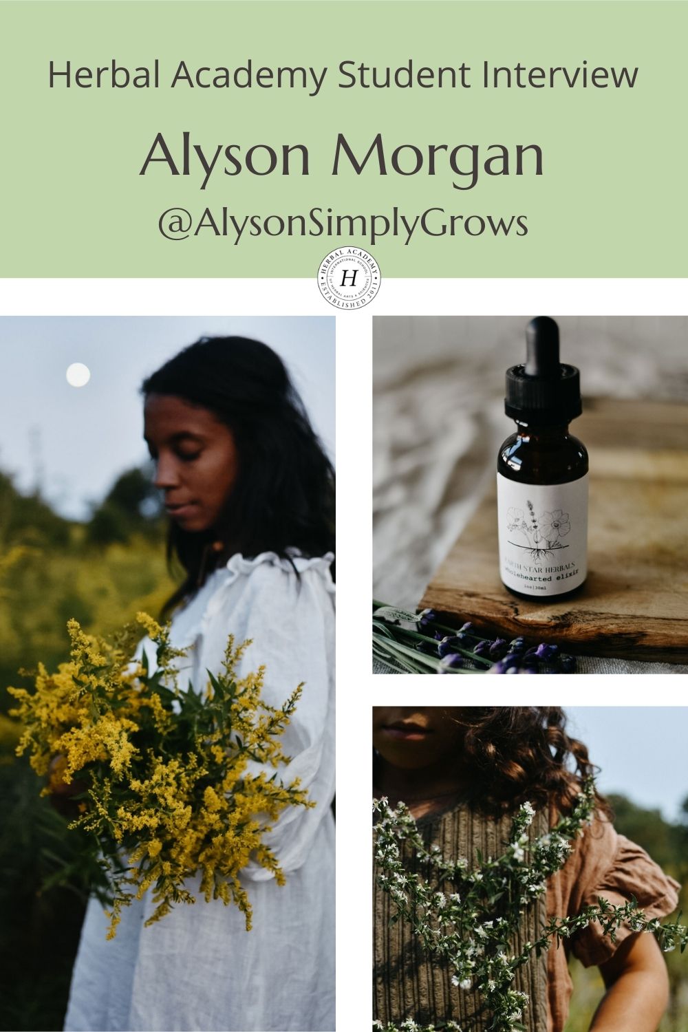 Alyson Morgan Pinterest Graphic for Herbal Academy's student feature