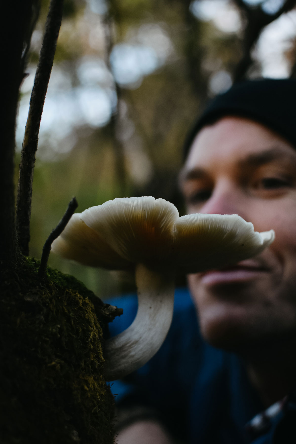 Man foraging for mushrooms