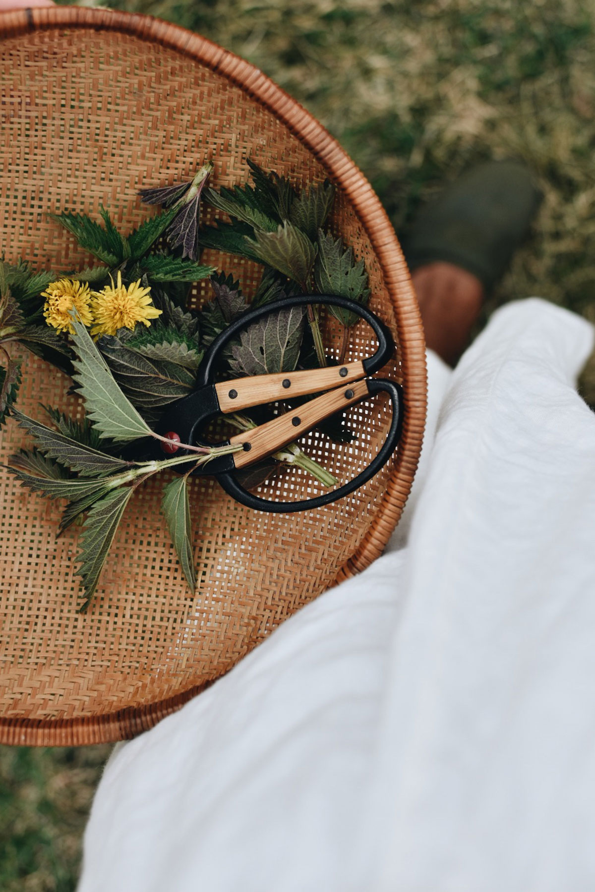 Alyson Morgan's harvest basket