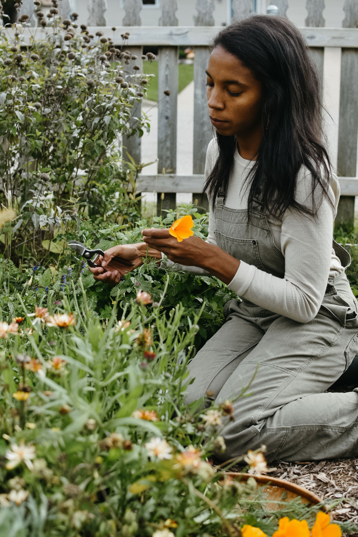 Alyson Morgan picking California poppy in her garden