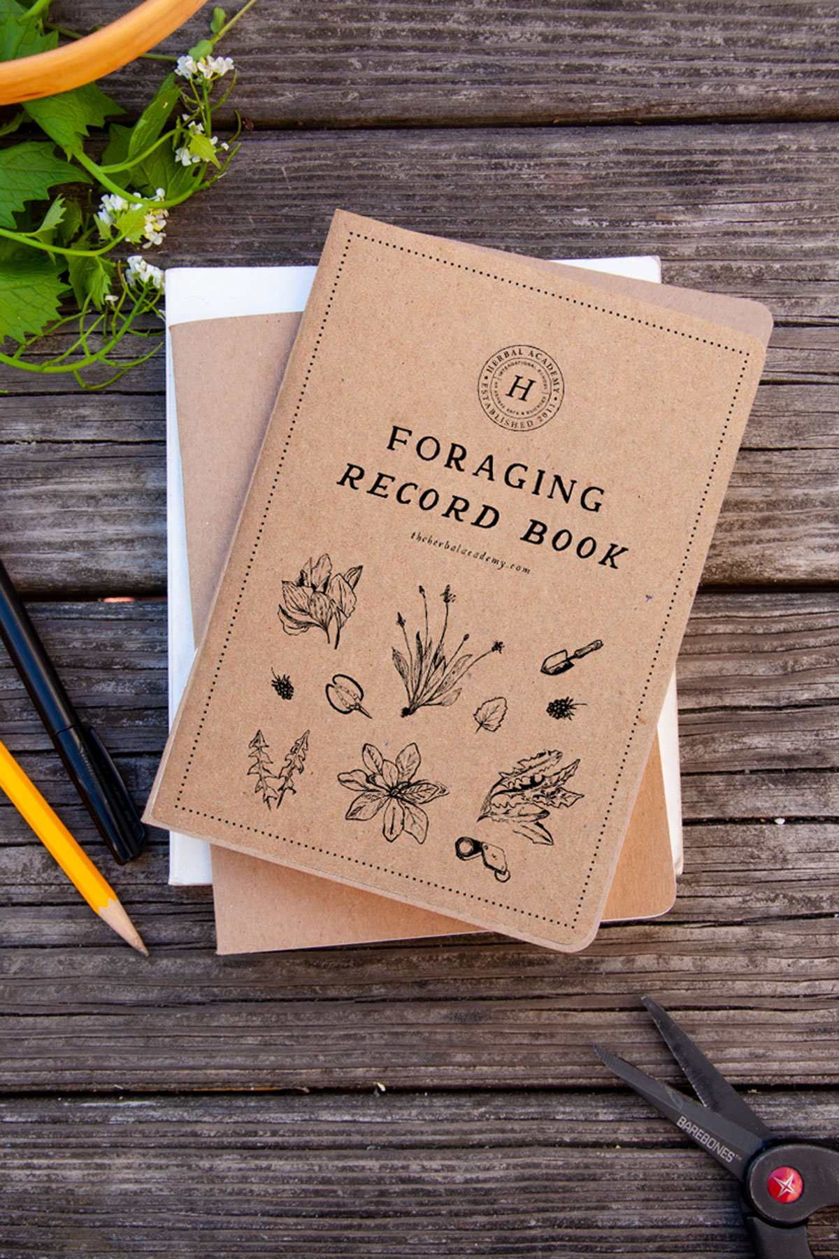 Foraging record book Herbal Academy