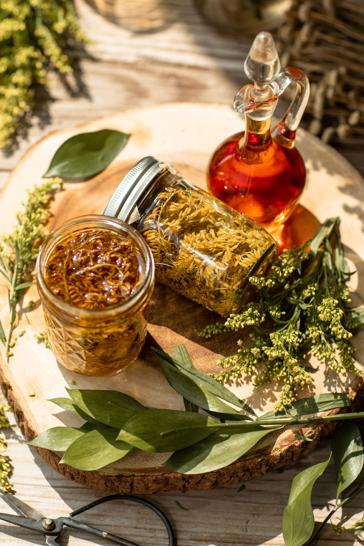 goldenrod and pear cordial is a great way for using goldenrod in the kitchen