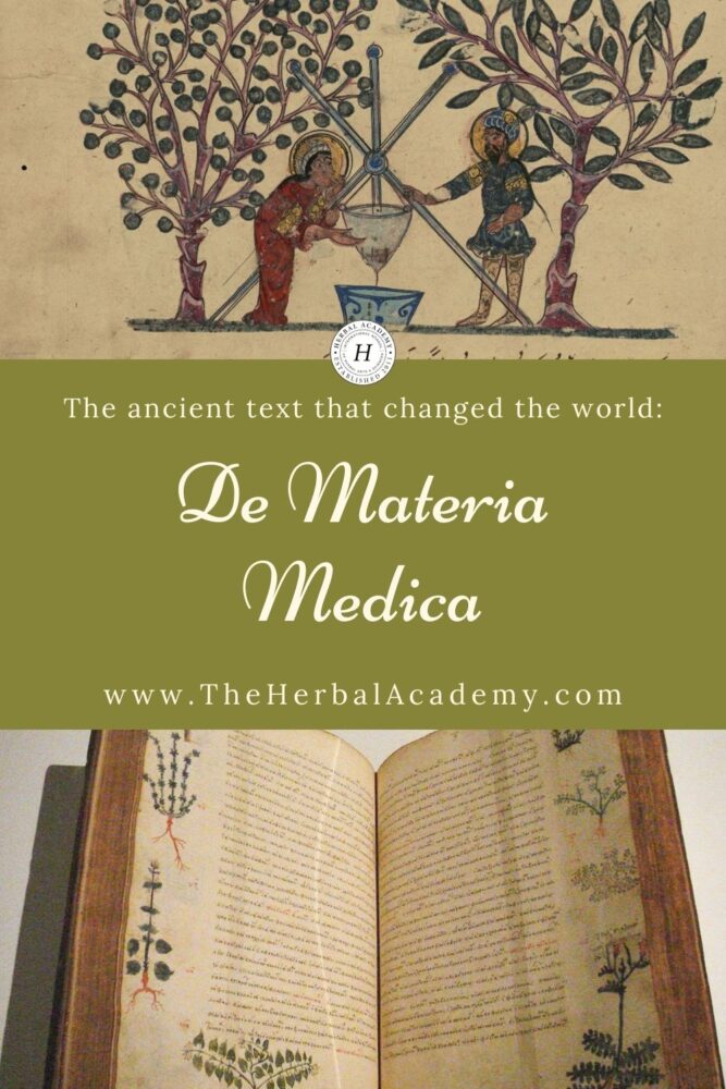 De Materia Medica The Ancient Text that Changed the World Herbal Academy