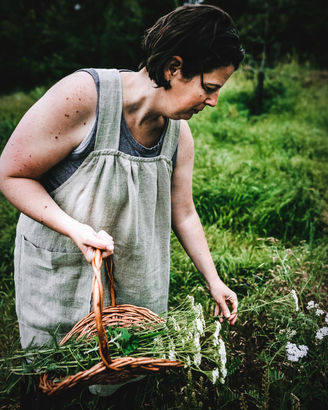 Colleen Codekas harvesting yarrow