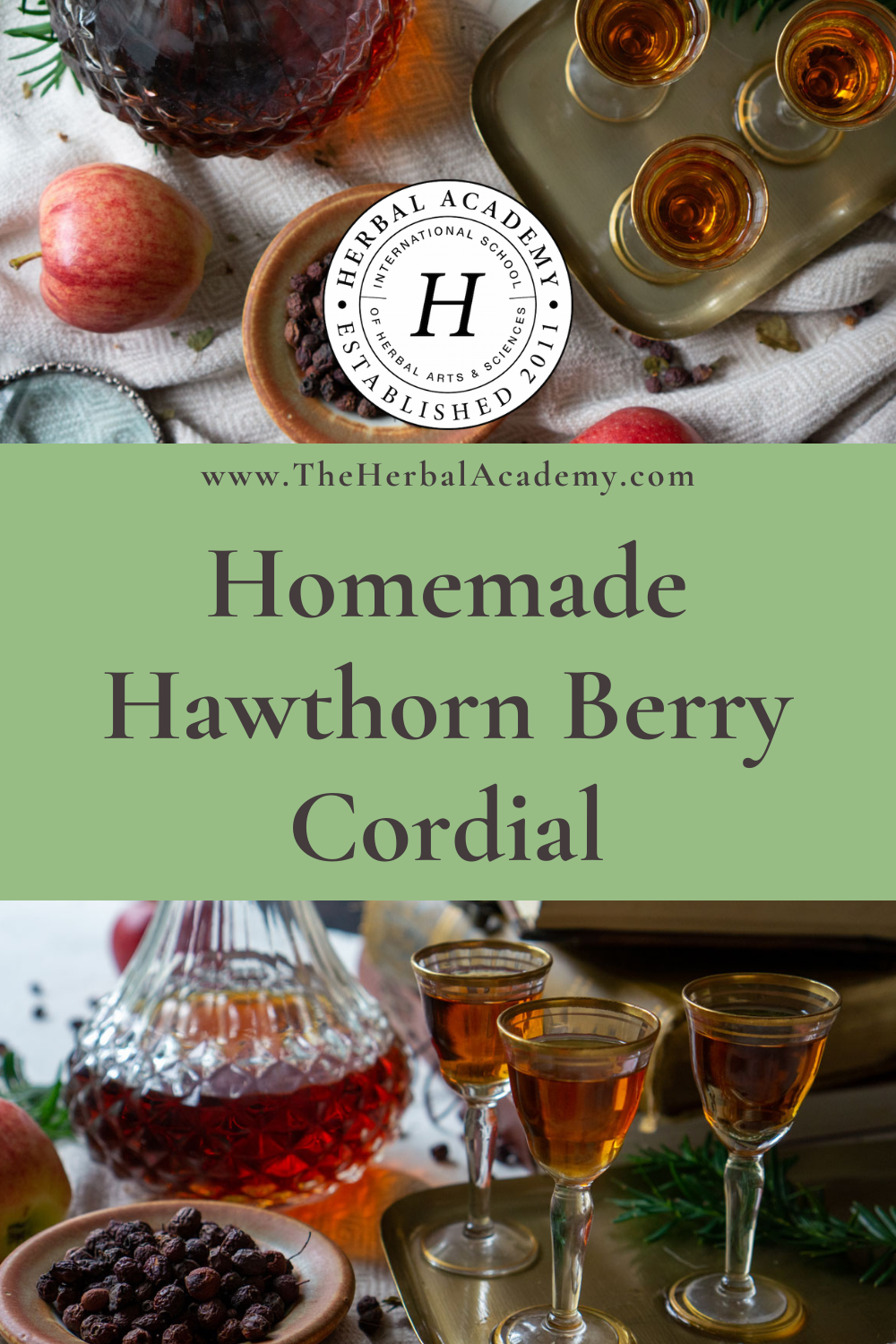 Hawthorn berry cordial Pintrest graphic