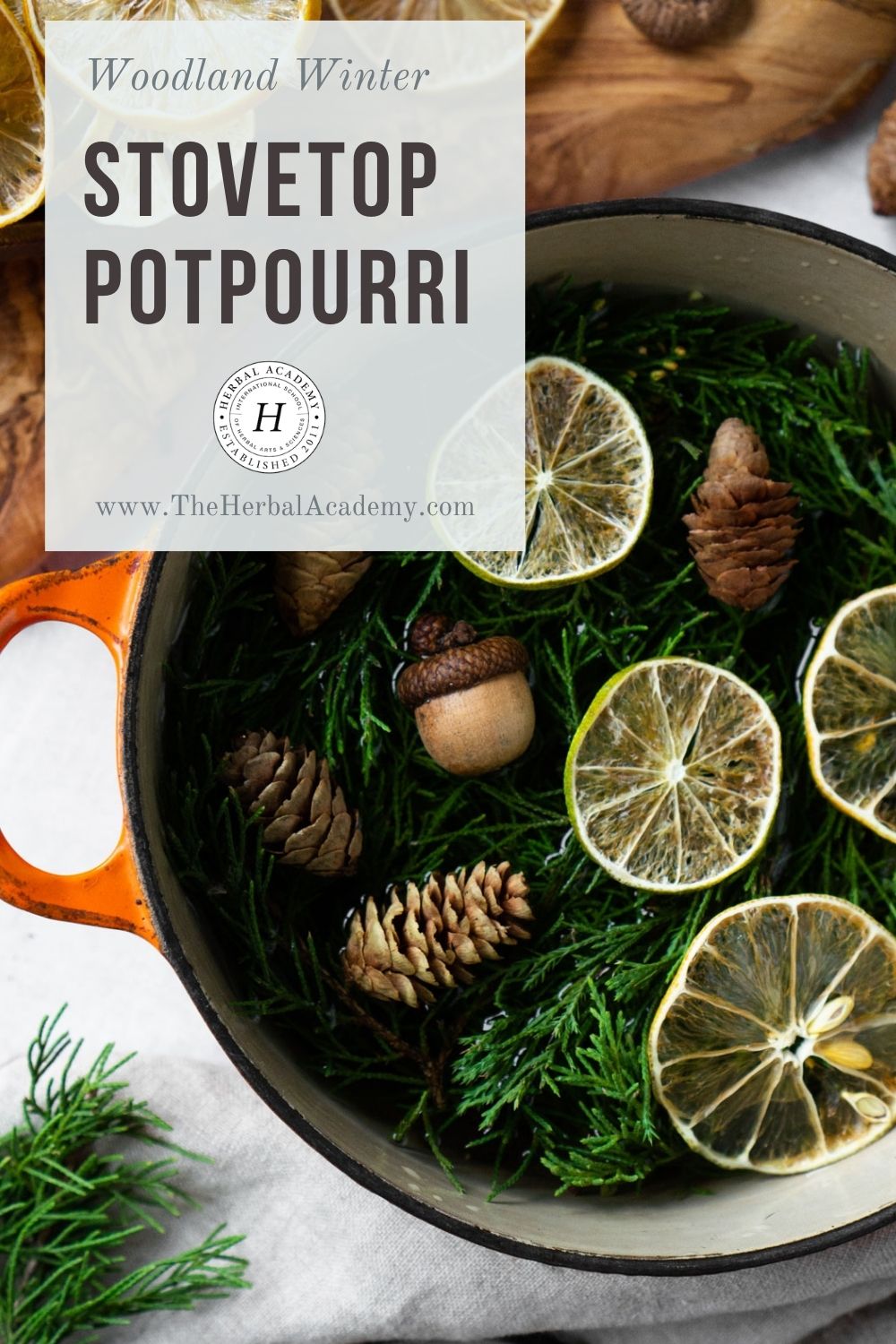 Woodland Winter Stovetop Potpourri Blend Pinterest graphic