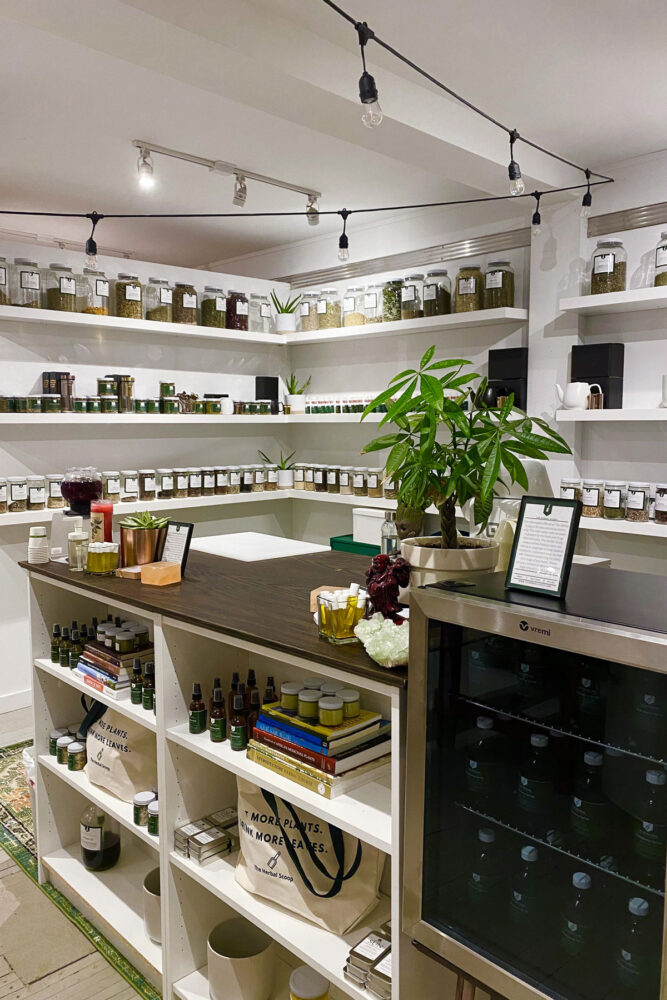 The Highs and Lows of Opening my Herb Store – Herbal Academy