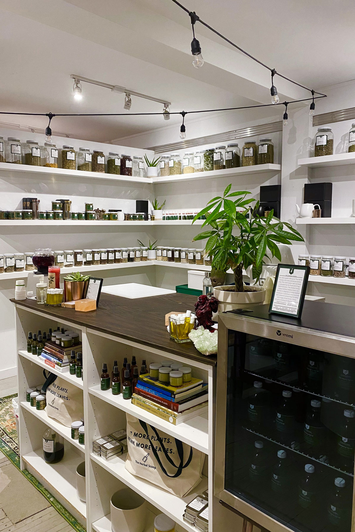 The Highs and Lows of Opening my Herb Store – Herbal Academy