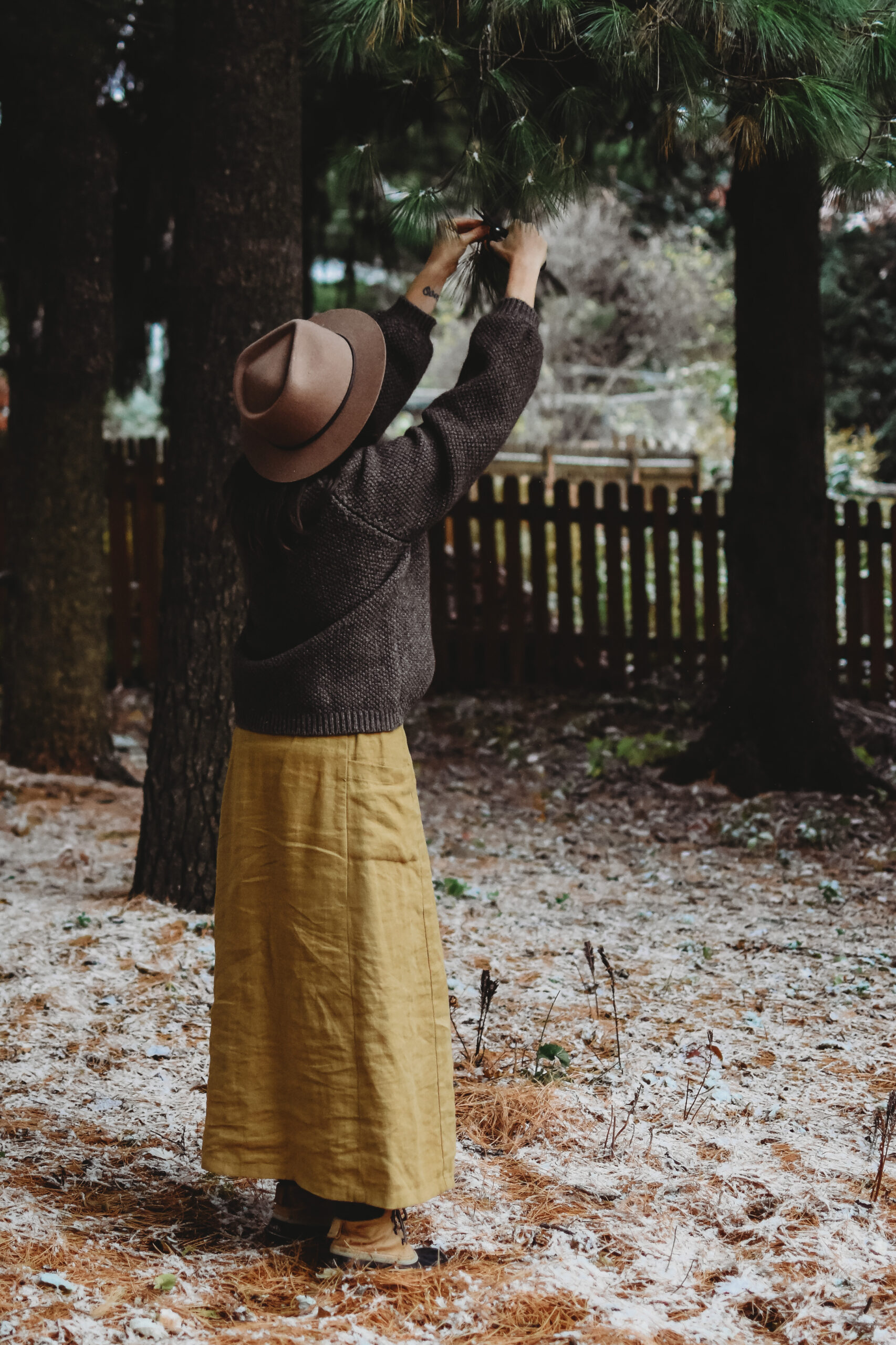 Foraging for pine to make herbal bath salts recipe