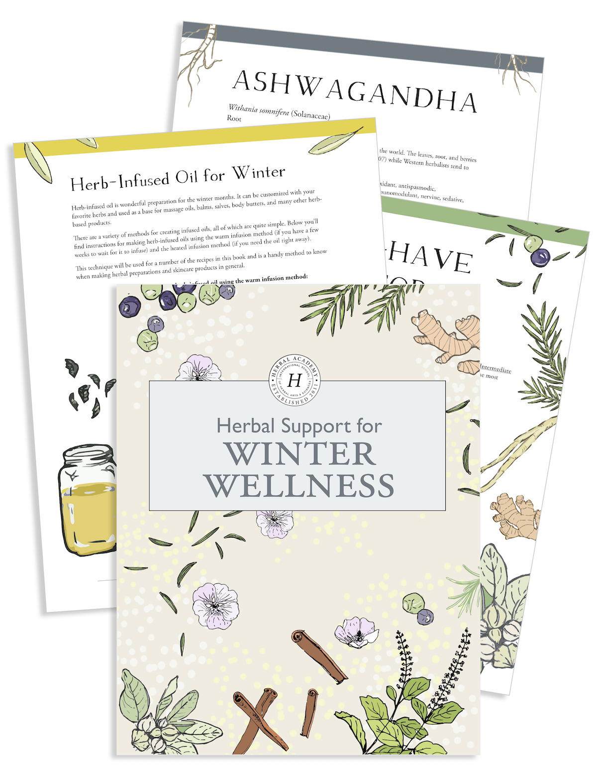 Free Herbal Ebook preview by Herbal Academy -Herbal support for winter wellness ebook