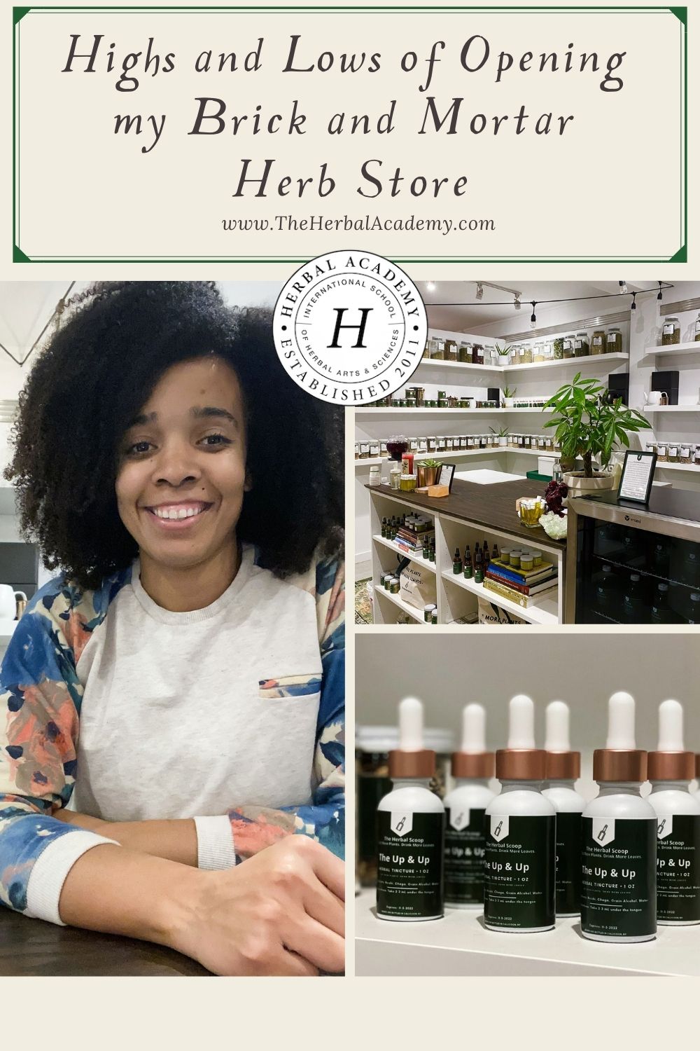 Highs and Lows of Opening by Brick and Mortar Herb Store: Pinterest Graphic