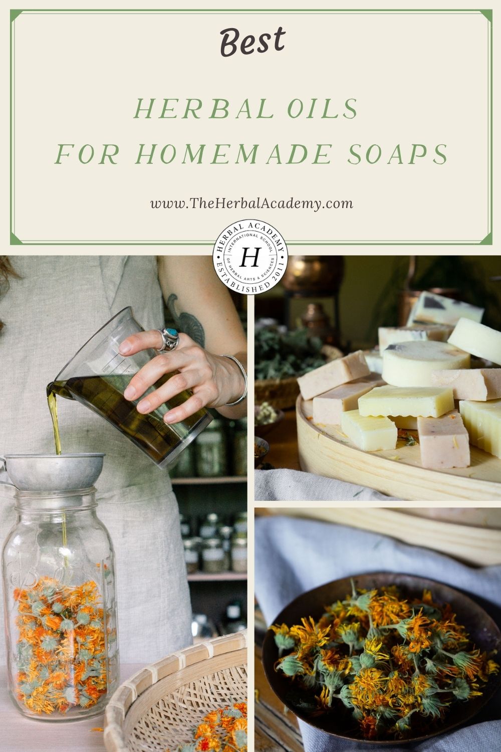 How to Infuse Herbs in Healthy Oils for Natural Soapmaking - Oak Hill  Homestead