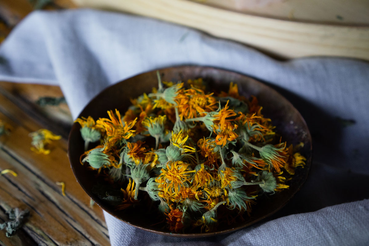 calendula flowers in a copper dish surrounded by a blue linen towel