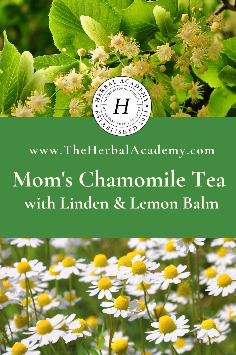 Mom’s Chamomile Tea with Lemon Balm and Linden Flower | Herbal Academy | pintrest graphic