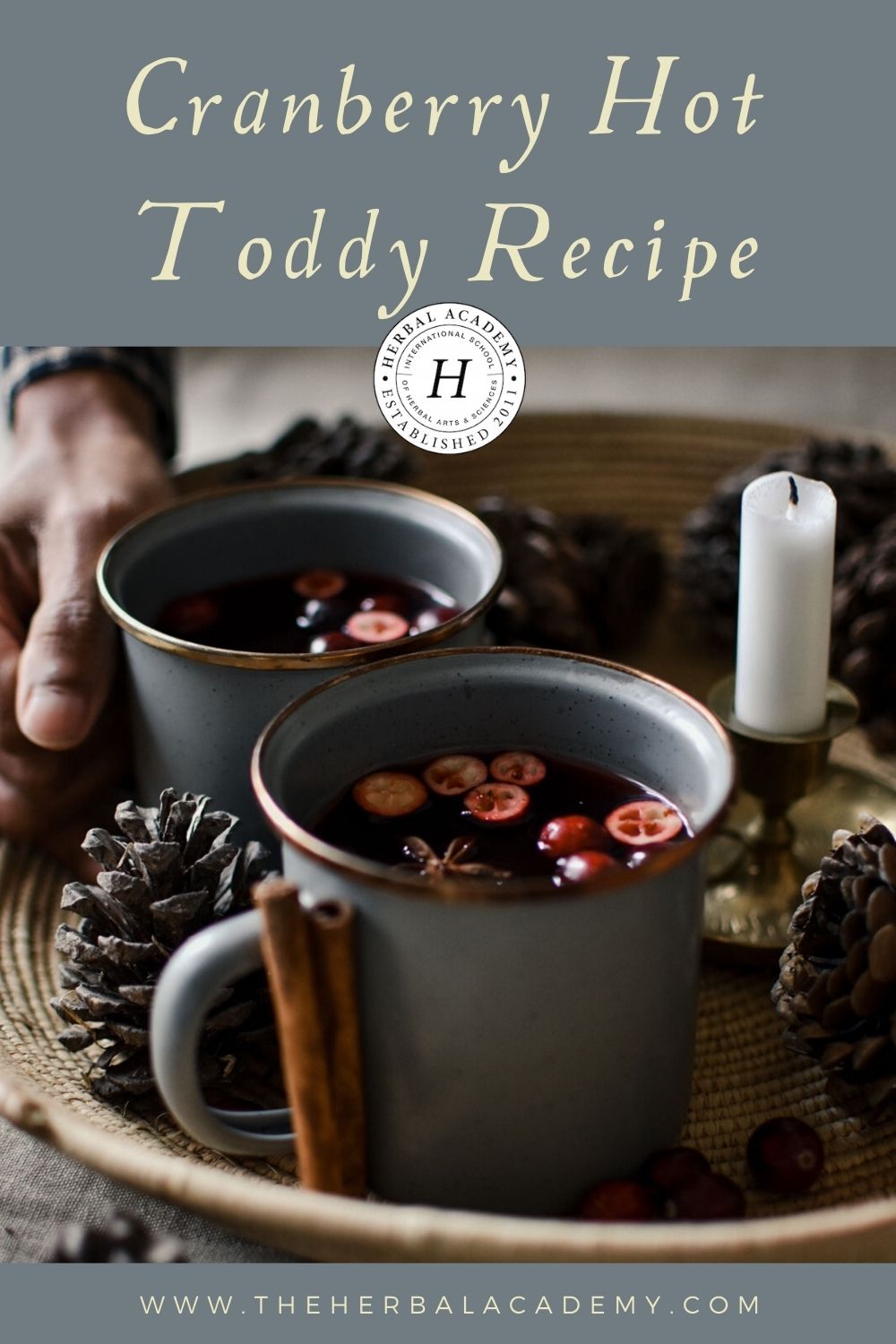 Cranberry Hot Toddy Recipe Pinterest graphic