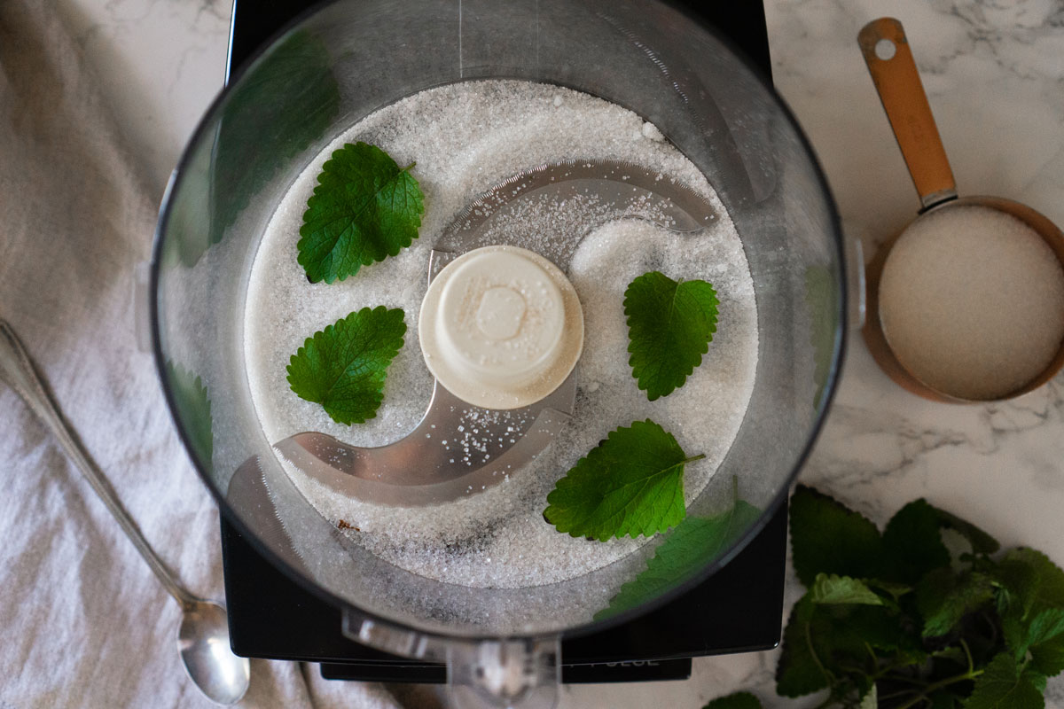 peppermint herbal sugar in the food processor