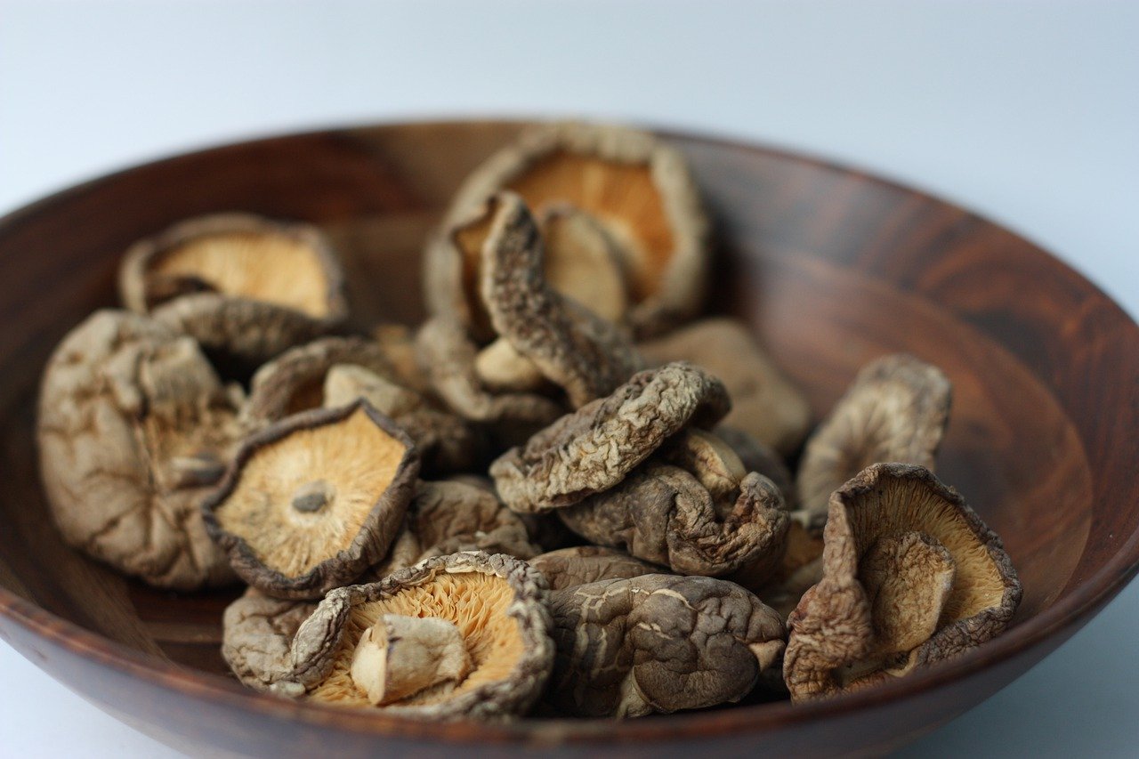 shiitake mushrooms by Herbal Academy