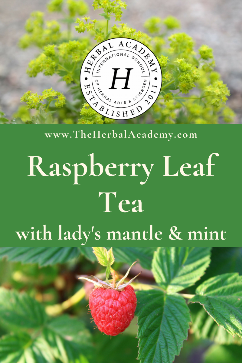 Raspberry Leaf Tea Pinterest Graphic